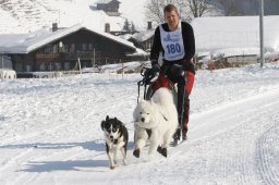 Lenk 2012 SM